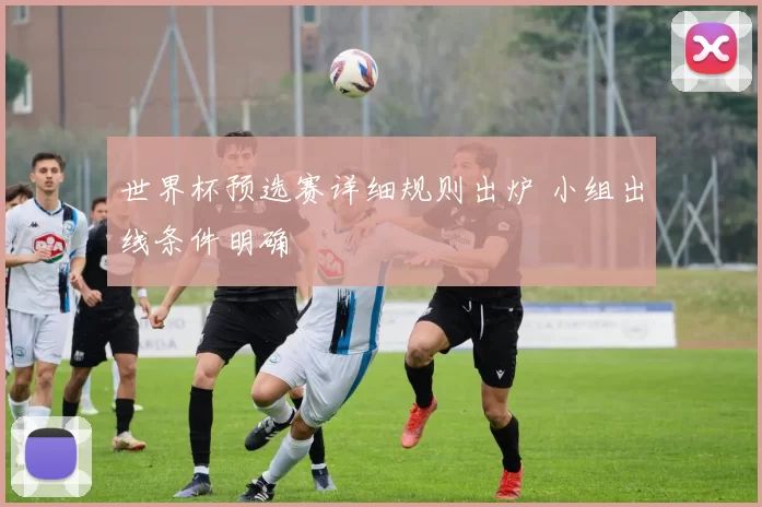 世界杯预选赛详细规则出炉 小组出线条件明确