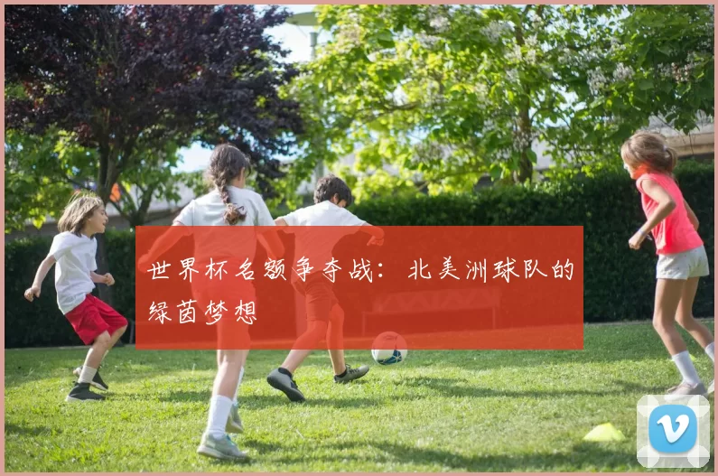 世界杯名额争夺战：北美洲球队的绿茵梦想