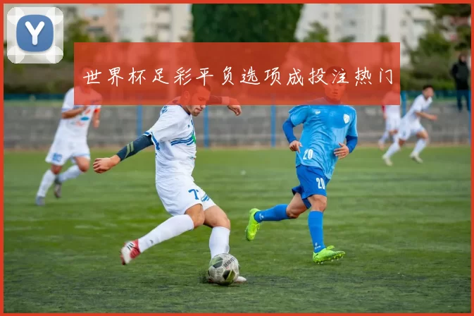 世界杯足彩平负选项成投注热门