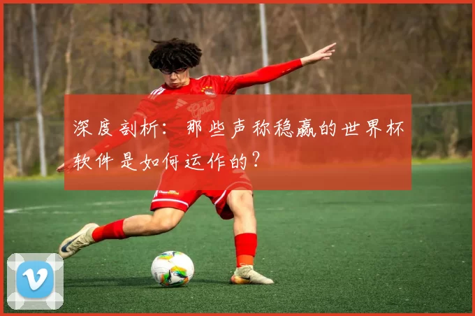 深度剖析：那些声称稳赢的世界杯软件是如何运作的？