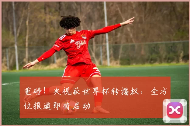 重磅！央视获世界杯转播权，全方位报道即将启动