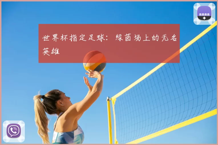 世界杯指定足球：绿茵场上的无名英雄