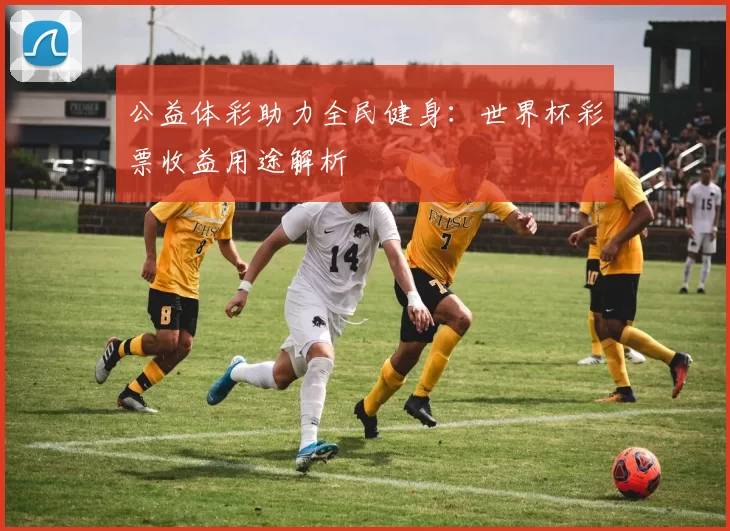 公益体彩助力全民健身：世界杯彩票收益用途解析
