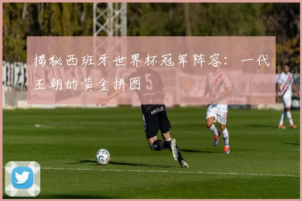 揭秘西班牙世界杯冠军阵容：一代王朝的黄金拼图