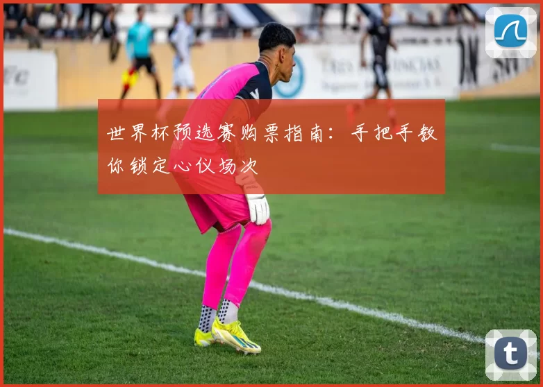 世界杯预选赛购票指南：手把手教你锁定心仪场次