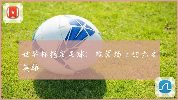 世界杯指定足球：绿茵场上的无名英雄