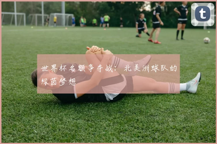 世界杯名额争夺战：北美洲球队的绿茵梦想