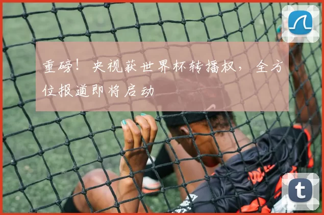 重磅！央视获世界杯转播权，全方位报道即将启动