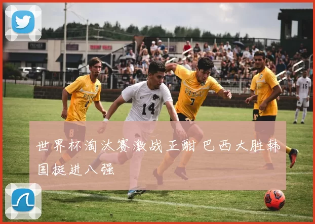 世界杯淘汰赛激战正酣 巴西大胜韩国挺进八强