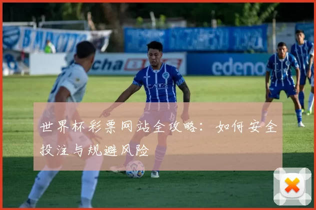 世界杯彩票网站全攻略：如何安全投注与规避风险
