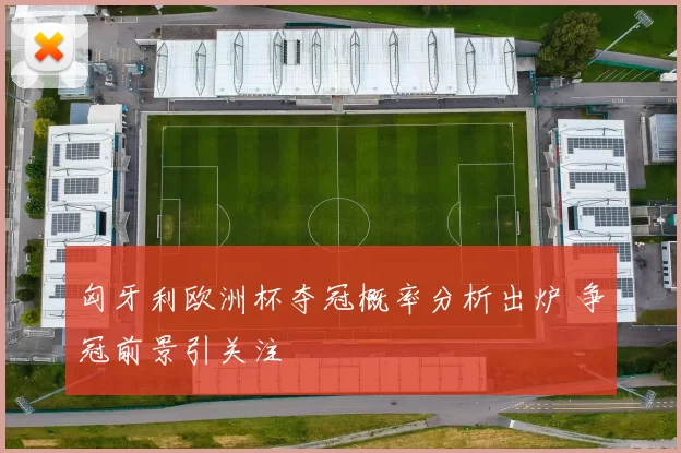匈牙利欧洲杯夺冠概率分析出炉 争冠前景引关注