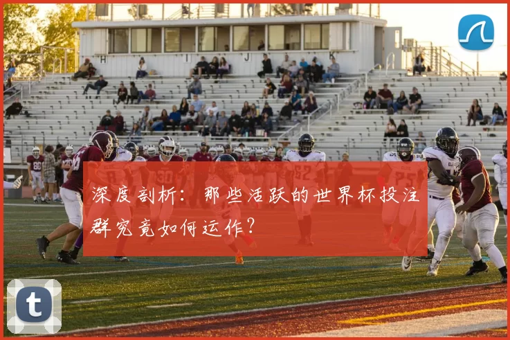 深度剖析：那些活跃的世界杯投注群究竟如何运作？